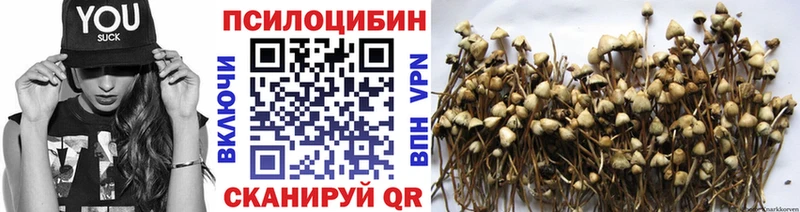 Купить закладки  Ардон  Галлюциногенные грибы Magic Shrooms 